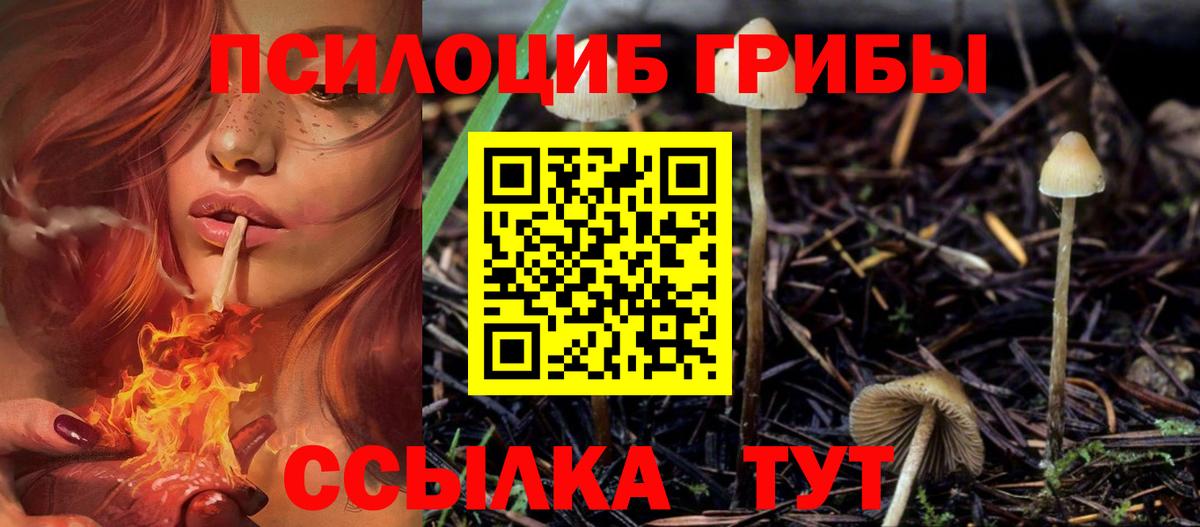 Псилоцибиновые грибы ЛСД Химки